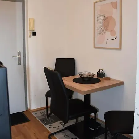Zentrales Studio-apartment In Linz, Arbeiter-hit شقة *