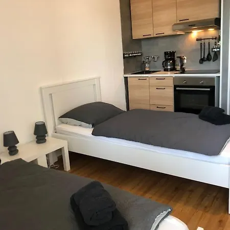 Zentrales Studio-apartment In Linz, Arbeiter-hit * لينتز