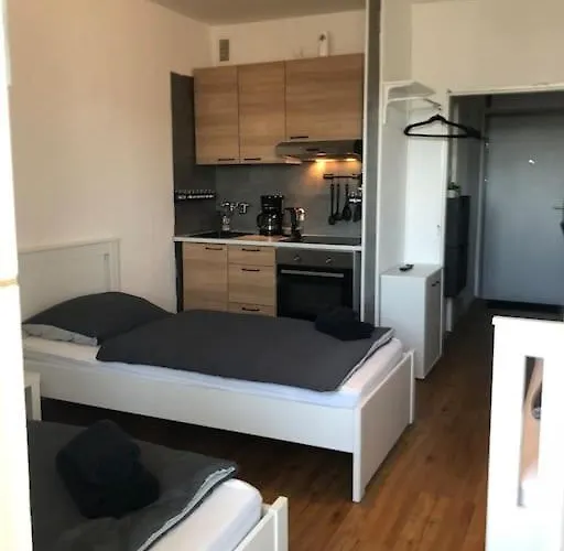 Zentrales Studio-apartment In Linz, Arbeiter-hit Apartment *