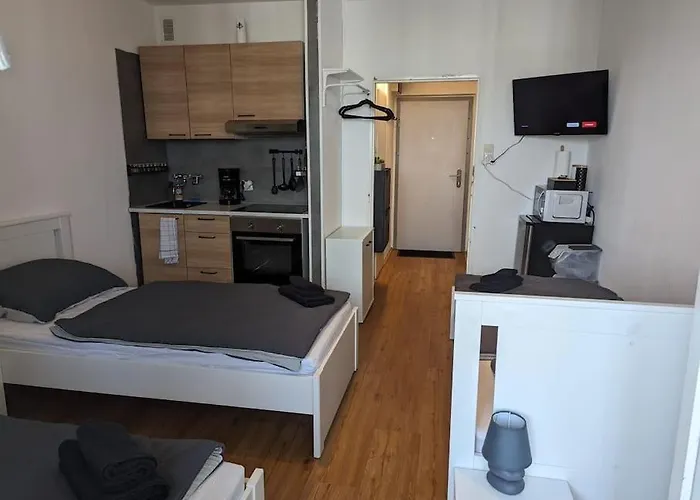Zentrales Studio-apartment In Linz, Arbeiter-hit *